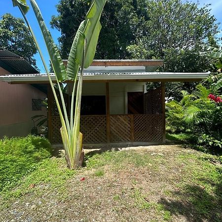 Ballena Oasis Homes Uvita Bagian luar foto