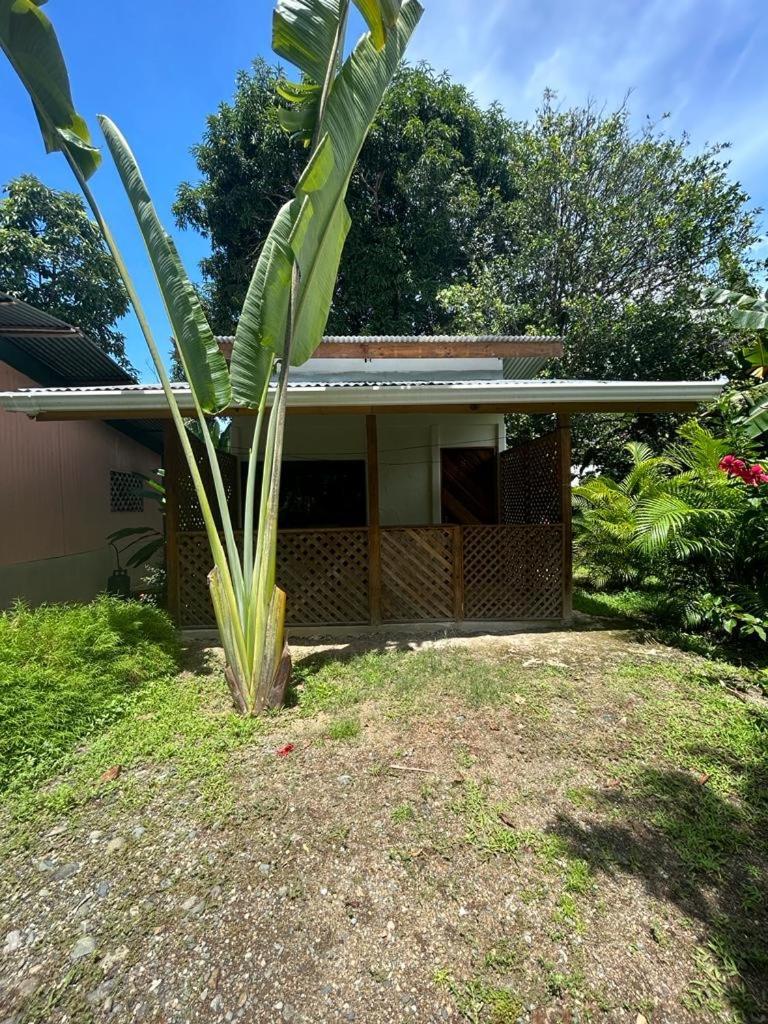 Ballena Oasis Homes Uvita Bagian luar foto